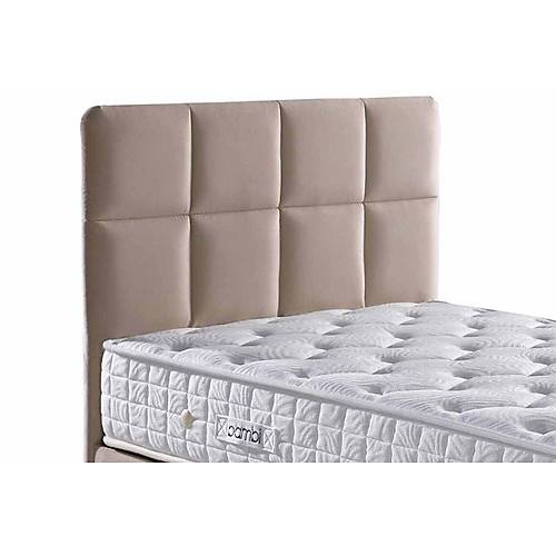 Bambi Golden Prime Balk