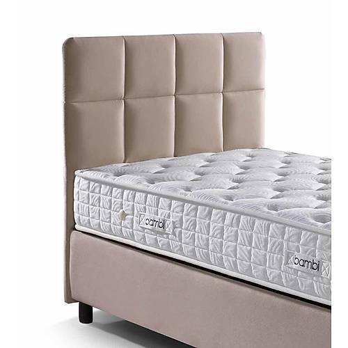 Bambi Golden Prime Balk