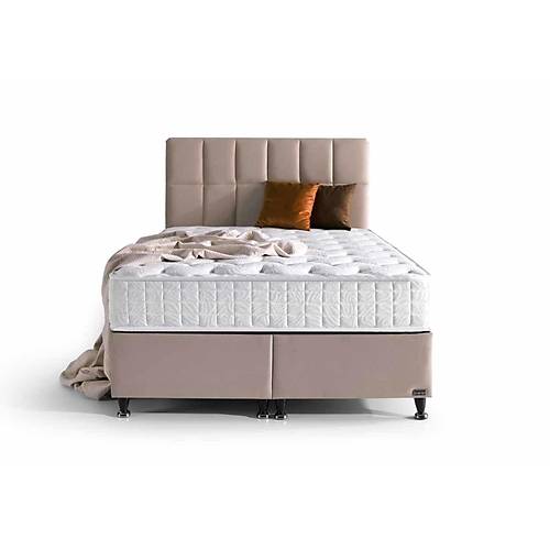 Bambi Golden Prime Balk