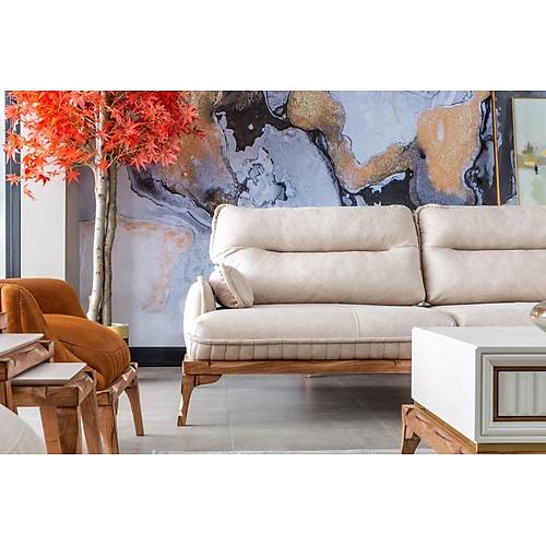 Tetra Koltuk Tak�m�