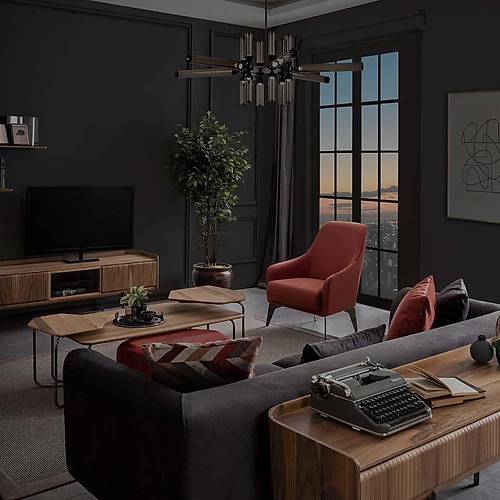 Tokyo Ceviz Tv �nitesi