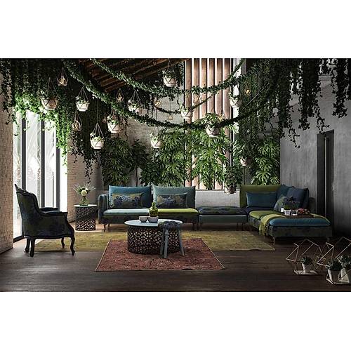 Saloni Fox Amazon Ke Takm