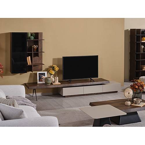 Aktif Plus Tv �nitesi