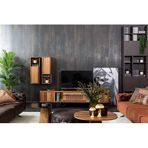 Saloni Emporio Tv �nitesi