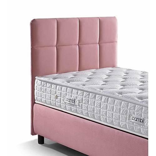 Bambi Golden Prime Balk