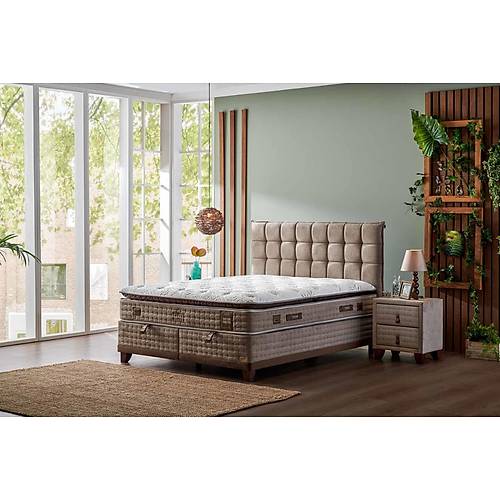 Bambi Cotton Master Baza