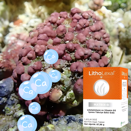 LithoLexal� 60 Tablet- Matrix B (G�nl�k Mineral Deste�i)