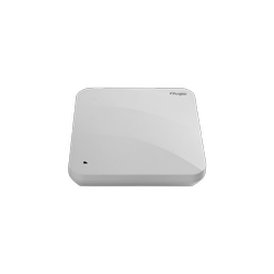 RG-AP840-L
