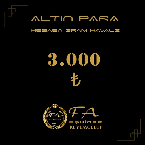 3000 TL Alt�n Para