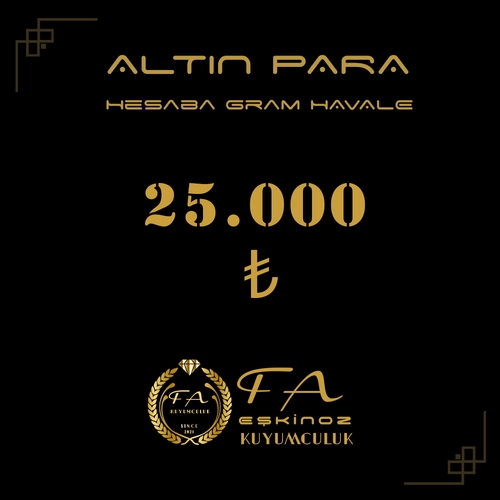 25000 TL Alt�n Para