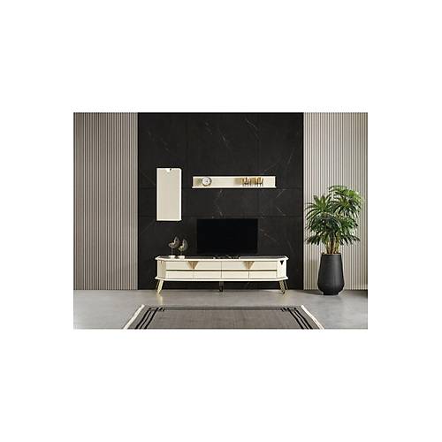 C�TY TV �N�TES�