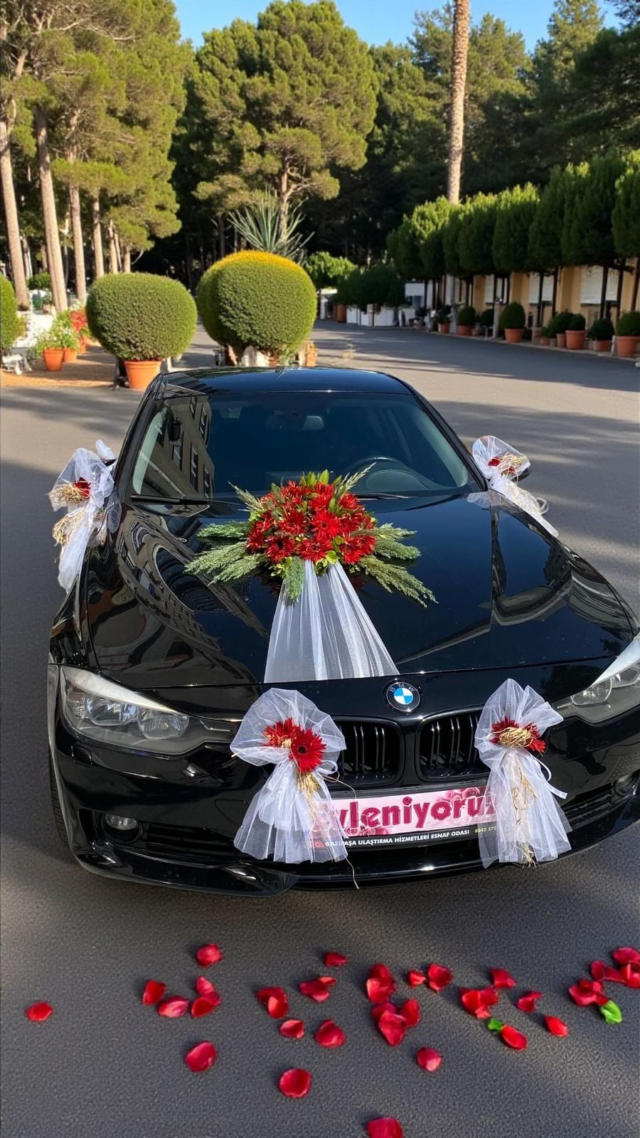 Gelin Arabası
