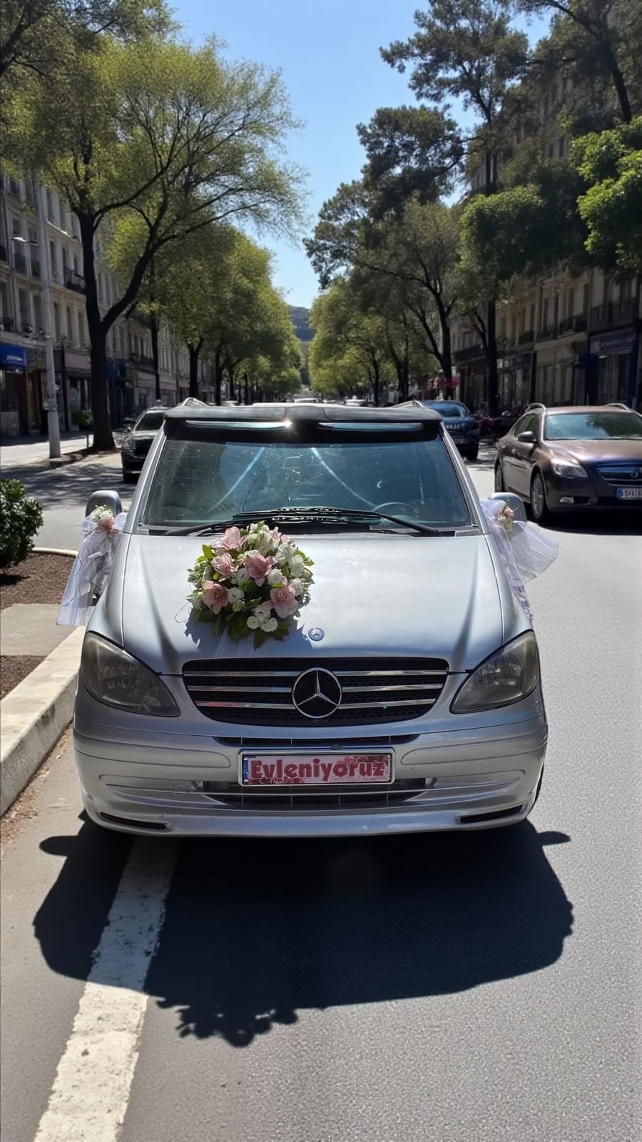 Vip araç süslemesi