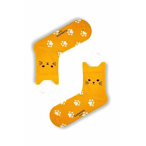 5'li Kedi �ekilli Renkli �orap Seti | Hediye Kutulu Unisex Pamuklu �oraplar