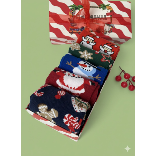 Y�lba�� 5?l� Desenli �orap Seti | Unisex Hediye Kutulu K�� Temal� �oraplar