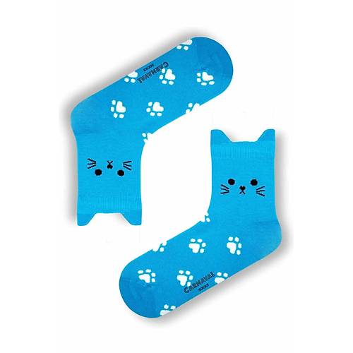 5'li Kedi �ekilli Renkli �orap Seti | Hediye Kutulu Unisex Pamuklu �oraplar