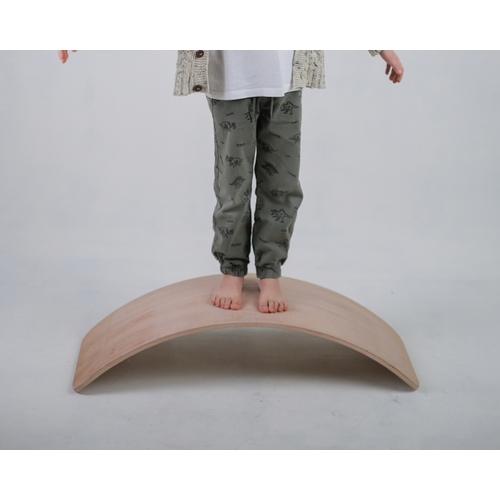 Denge Tahtas� / Balance Board