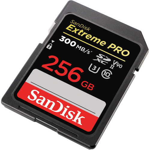 SanDisk Extreme PRO 256GB SDXC Memory Ca