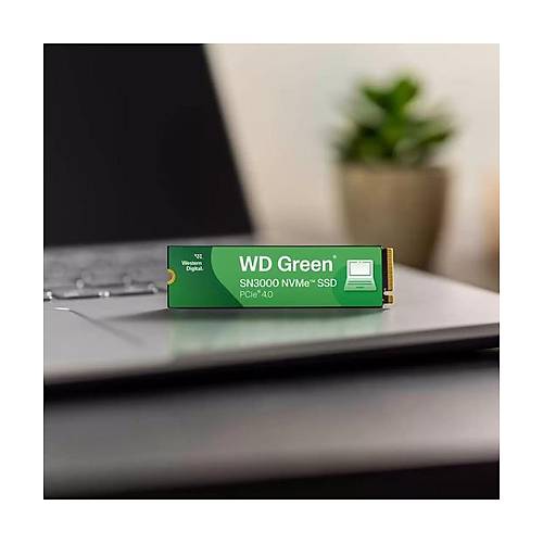 WD Green SN3000 NVMe SSD - 500GB