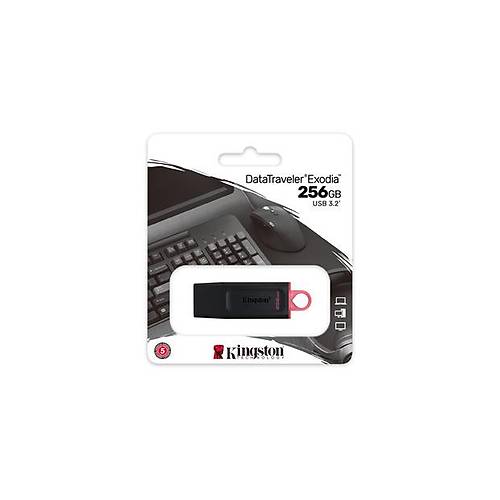 Kingston 256GB USB3.2 Gen1 DataTraveler Exodia (Black + Pink)