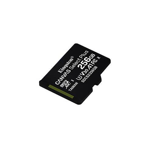 Kingston 256GB microSDXC C Select Plus