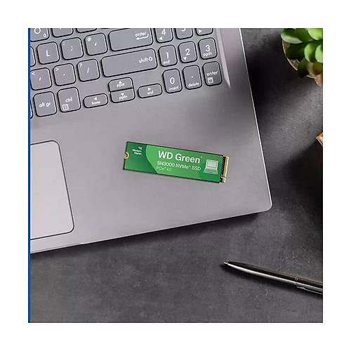 WD Green SN3000 NVMe SSD - 500GB
