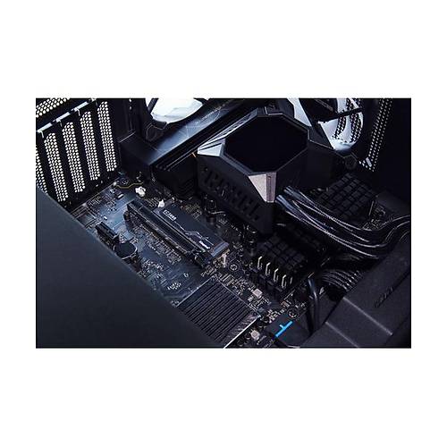 Kingston  4096G KC3000 PCIe 4.0 NVMe M.2 SSD