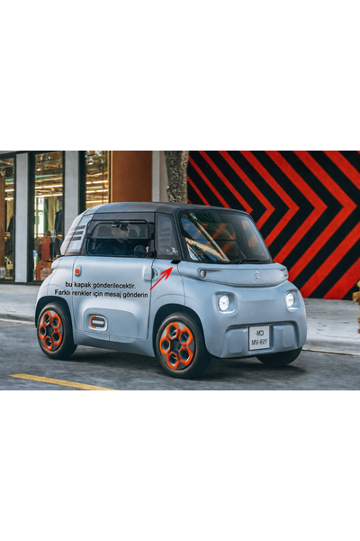 CITROEN AMI �AMURLUK KAPA�I SA�