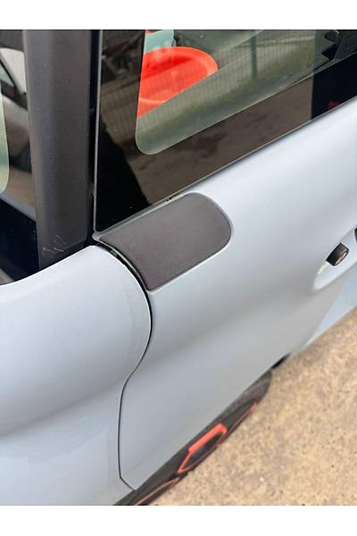 CITROEN AMI �AMURLUK KAPA�I SOL