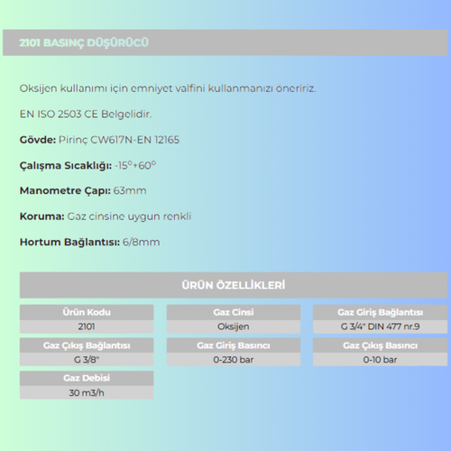 Oksijen Reg�lat�r� (Bas�n� D���r�c�) 2101