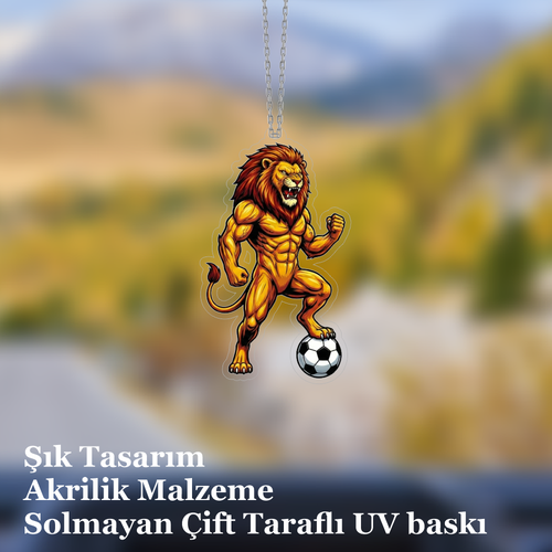 Araba Ayna S�s�, Araba S�s�, �anta Aksesuar� - Aslan 1 - Pleksi Malzeme, UV Bask�l� - 040