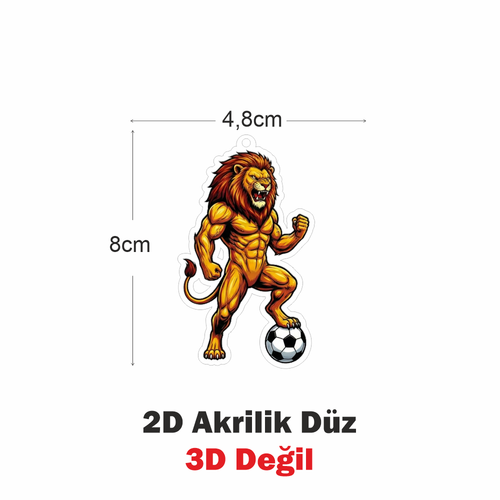 Araba Ayna S�s�, Araba S�s�, �anta Aksesuar� - Aslan 1 - Pleksi Malzeme, UV Bask�l� - 040