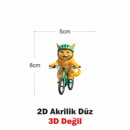 Araba Ayna S�s�, Araba S�s�, �anta Aksesuar� - Bisikletli Kedi - Pleksi Malzeme, UV Bask�l� - 003