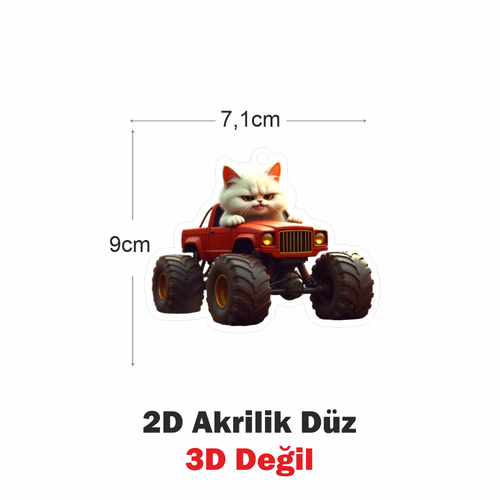 Araba Ayna S�s�, Araba S�s�, �anta Aksesuar� - ��f�r Kedi - Pleksi Malzeme, UV Bask�l� - 023