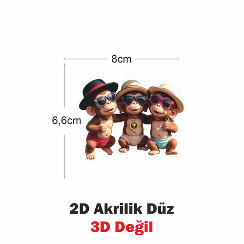 Araba Ayna S�s�, Araba S�s�, �anta Aksesuar� - �� Kafadar - Pleksi Malzeme, UV Bask�l� - 006