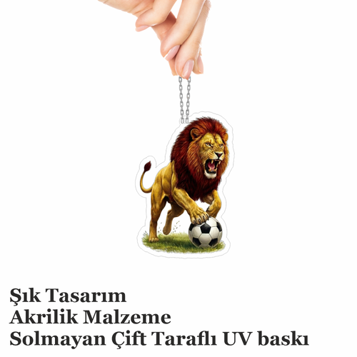 Araba Ayna S�s�, Araba S�s�, �anta Aksesuar� - Aslan 4 - Pleksi Malzeme, UV Bask�l� - 043