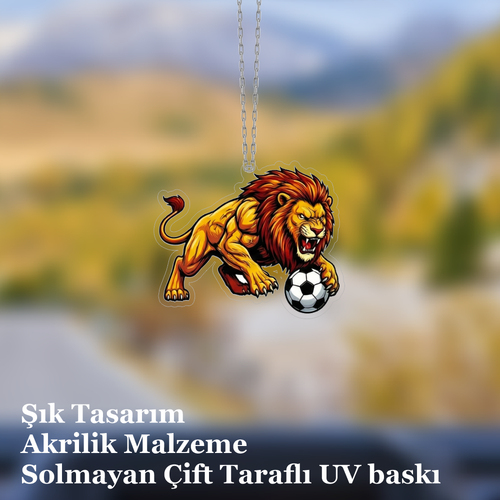 Araba Ayna S�s�, Araba S�s�, �anta Aksesuar� - Aslan 2 - Pleksi Malzeme, UV Bask�l� - 041