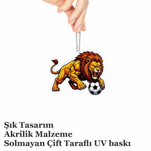 Araba Ayna S�s�, Araba S�s�, �anta Aksesuar� - Aslan 2 - Pleksi Malzeme, UV Bask�l� - 041