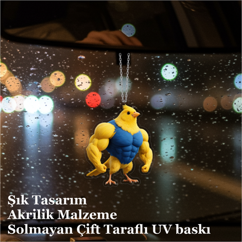 Araba Ayna S�s�, Araba S�s�, �anta Aksesuar� - Kanarya - Pleksi Malzeme, UV Bask�l� - 025