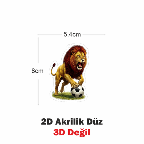 Araba Ayna S�s�, Araba S�s�, �anta Aksesuar� - Aslan 4 - Pleksi Malzeme, UV Bask�l� - 043