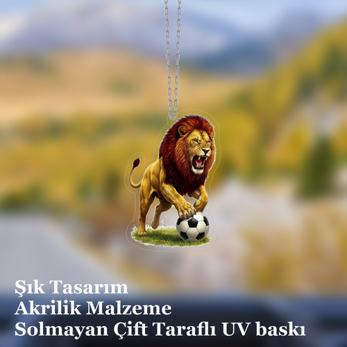 Araba Ayna S�s�, Araba S�s�, �anta Aksesuar� - Aslan 4 - Pleksi Malzeme, UV Bask�l� - 043