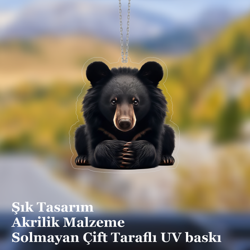 Araba Ayna S�s�, Araba S�s�, �anta Aksesuar� - Ay� - Pleksi Malzeme, UV Bask�l� - 011