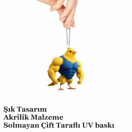 Araba Ayna S�s�, Araba S�s�, �anta Aksesuar� - Kanarya - Pleksi Malzeme, UV Bask�l� - 025