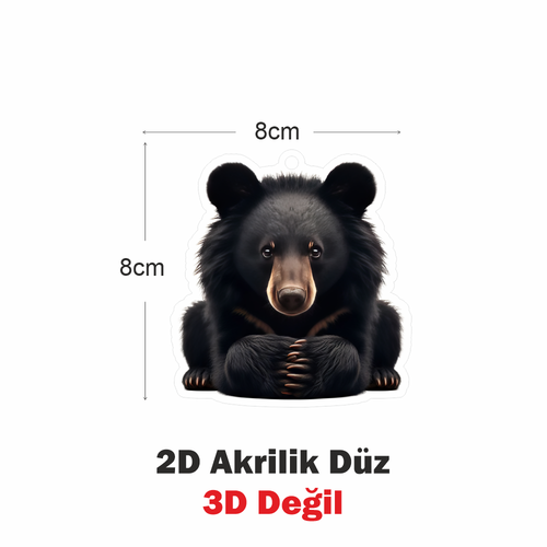 Araba Ayna S�s�, Araba S�s�, �anta Aksesuar� - Ay� - Pleksi Malzeme, UV Bask�l� - 011