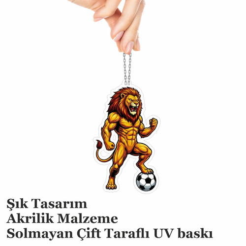 Araba Ayna S�s�, Araba S�s�, �anta Aksesuar� - Aslan 1 - Pleksi Malzeme, UV Bask�l� - 040