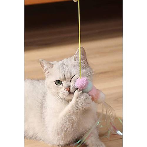 ngrakl Kedi Oyunca Yapkanl Kedi Oyun Oltas Renkli Ponponlu Oyuncak Zplayan Top