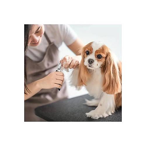 Evcil Hayvan T�rnak Makas� + T�rp� Seti | Kaymaz Sapl� G�venli Kesim | Kedi K�pek T�rnak Bak�m Arac�