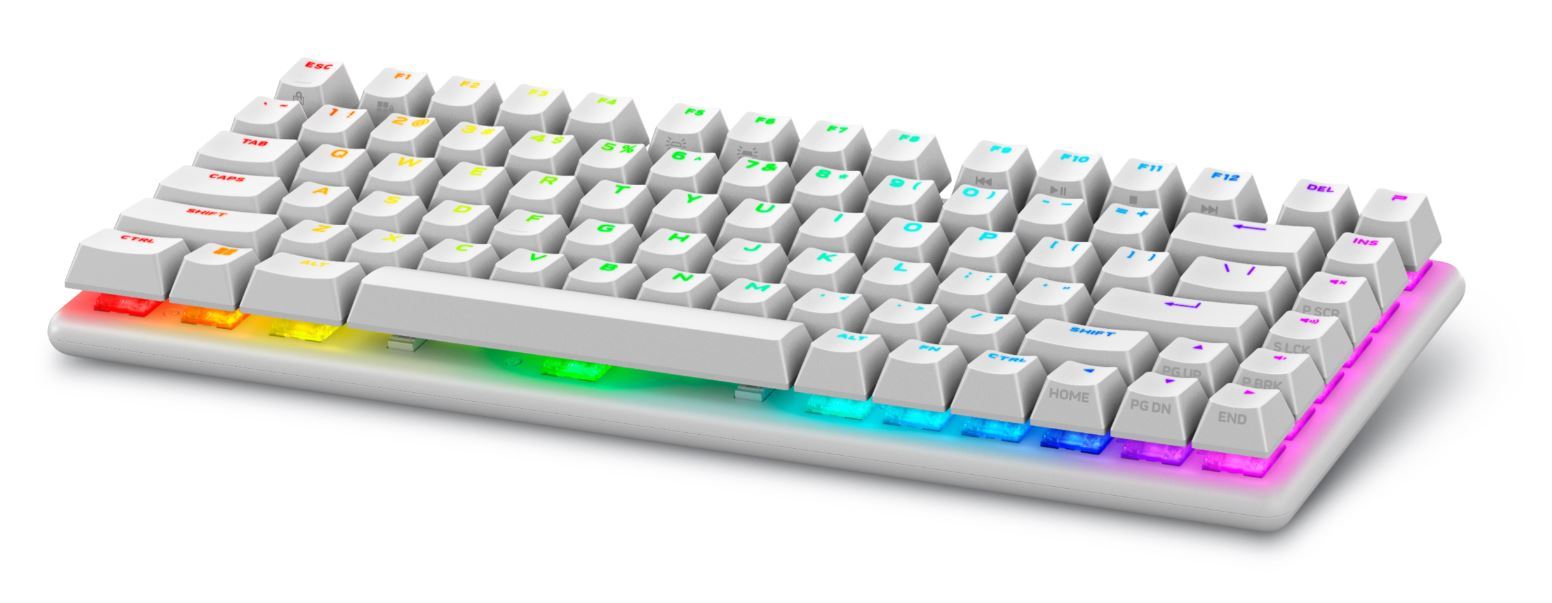 Alienware Pro Kablosuz Oyun Klavyesi - ABD QWERTY-beyaz