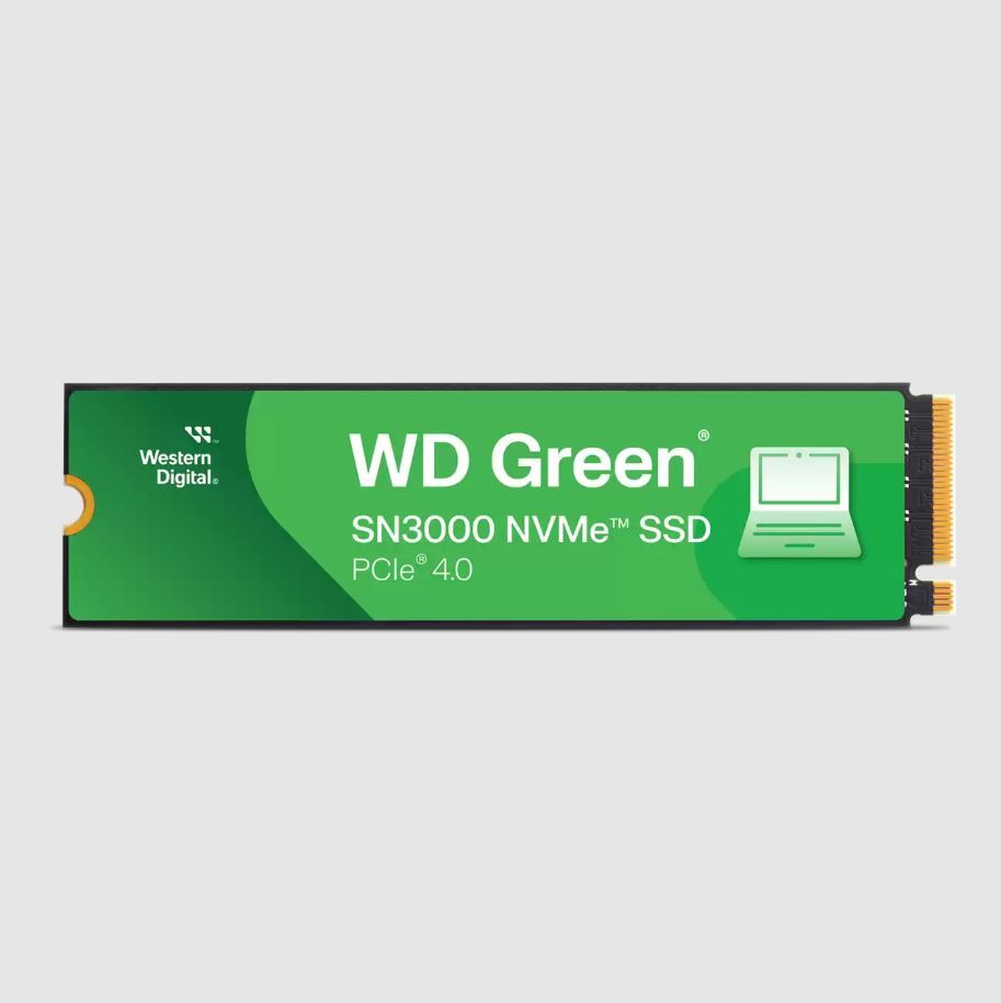 1TB GREEN SN3000 PCI-4.0 5000-4200MB/s M2 SSD