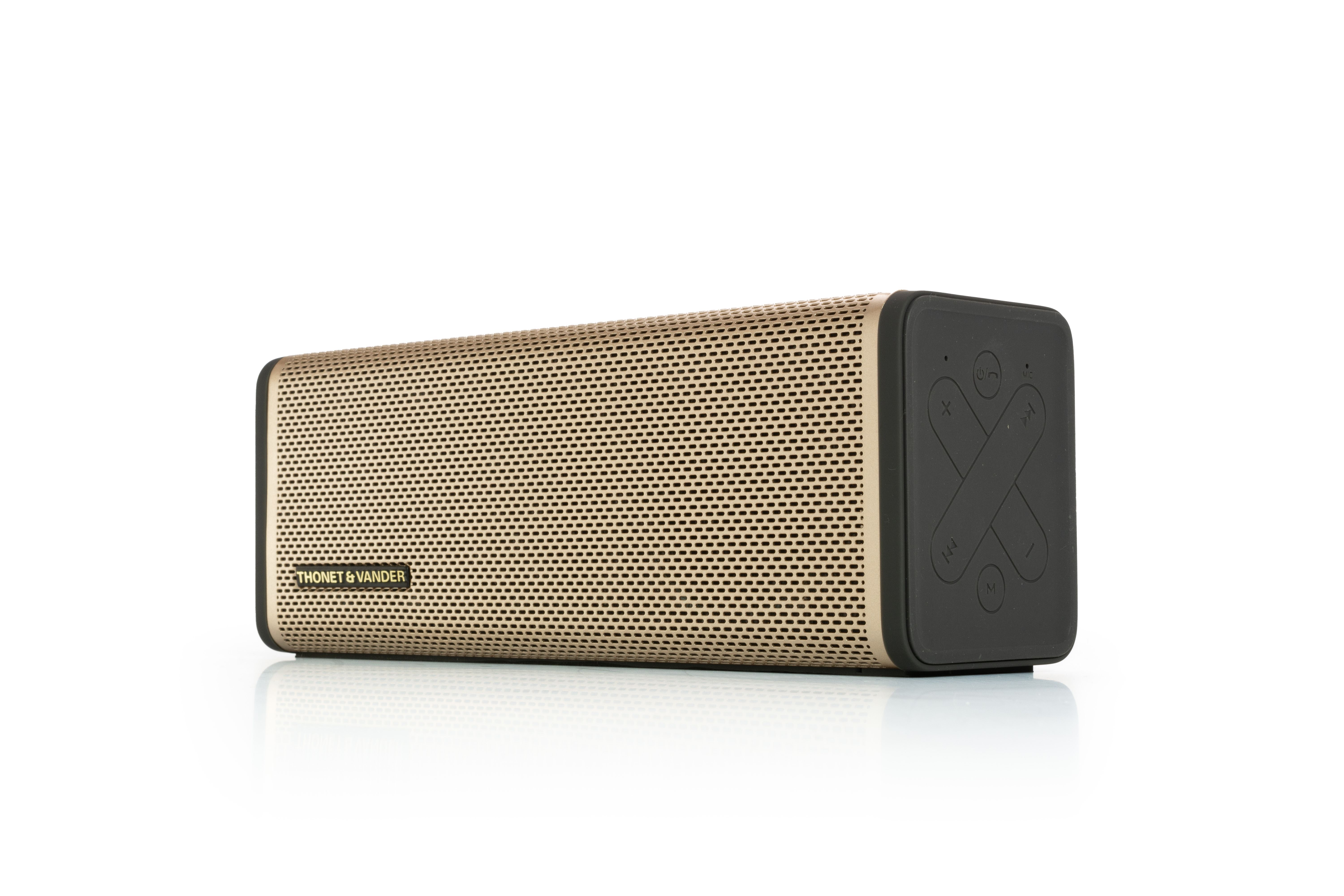 FREI TOPP TWS BLUETOOTH SPEAKER 24W GOLD